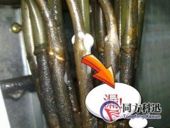 制冷劑泄漏有哪些檢測方法？